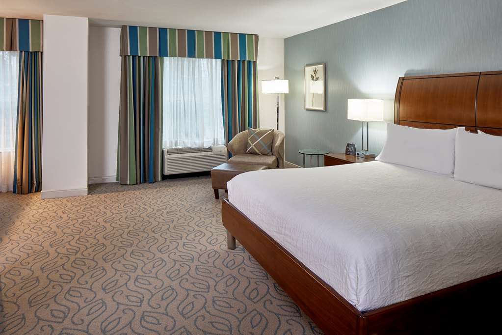 Hilton Garden Inn Atlanta Midtown Habitación foto