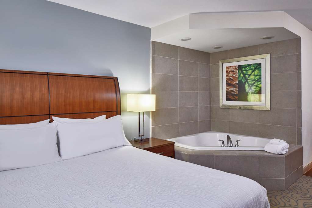 Hilton Garden Inn Atlanta Midtown Habitación foto
